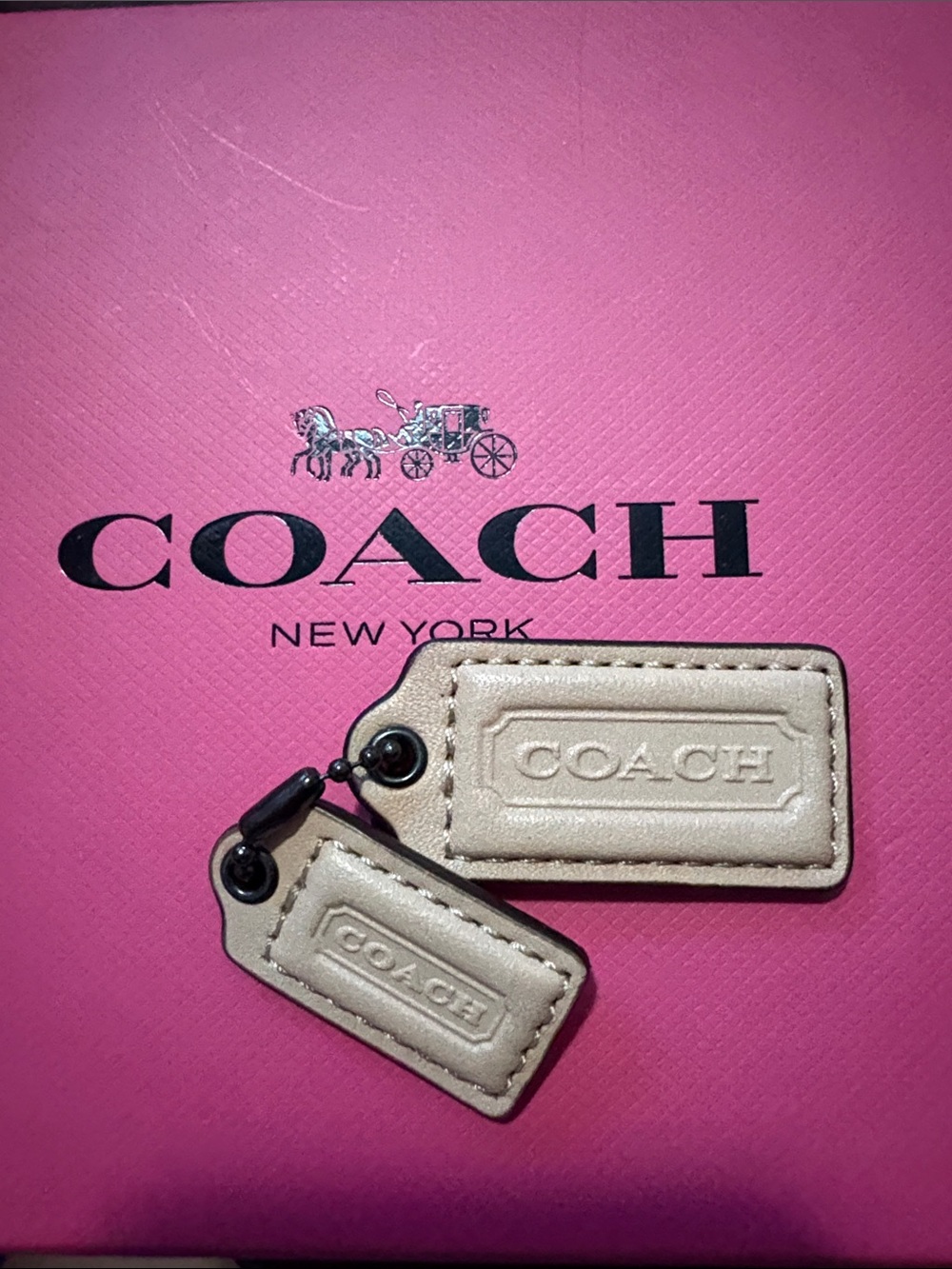 Coach Pink Leather Tag or Clear Butterfly or  Confetti Charms